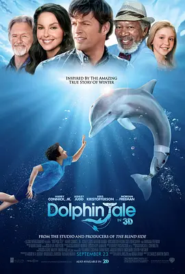 海豚的故事2011