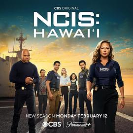 海军罪案调查处：夏威夷第三季(全集)